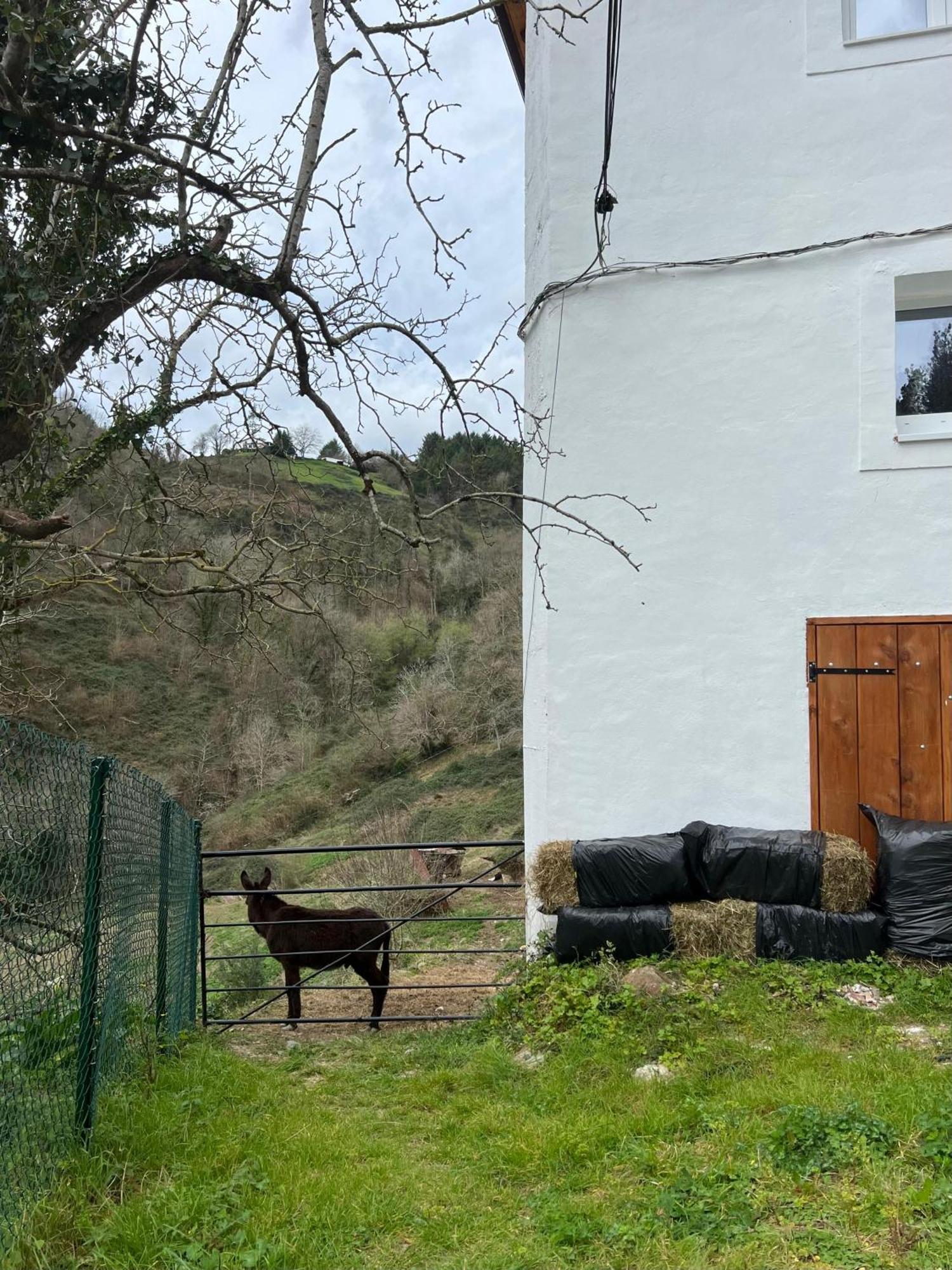 Ferienwohnung Fantastico Retiro Rural En El Corazon De Euskadi Elgoibar Exterior foto